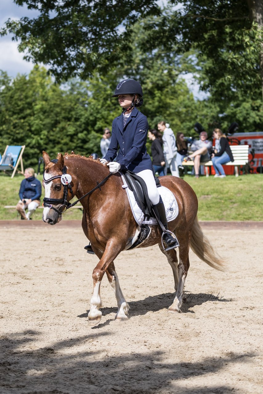 Bild 548 - Pony Akademie Turnier